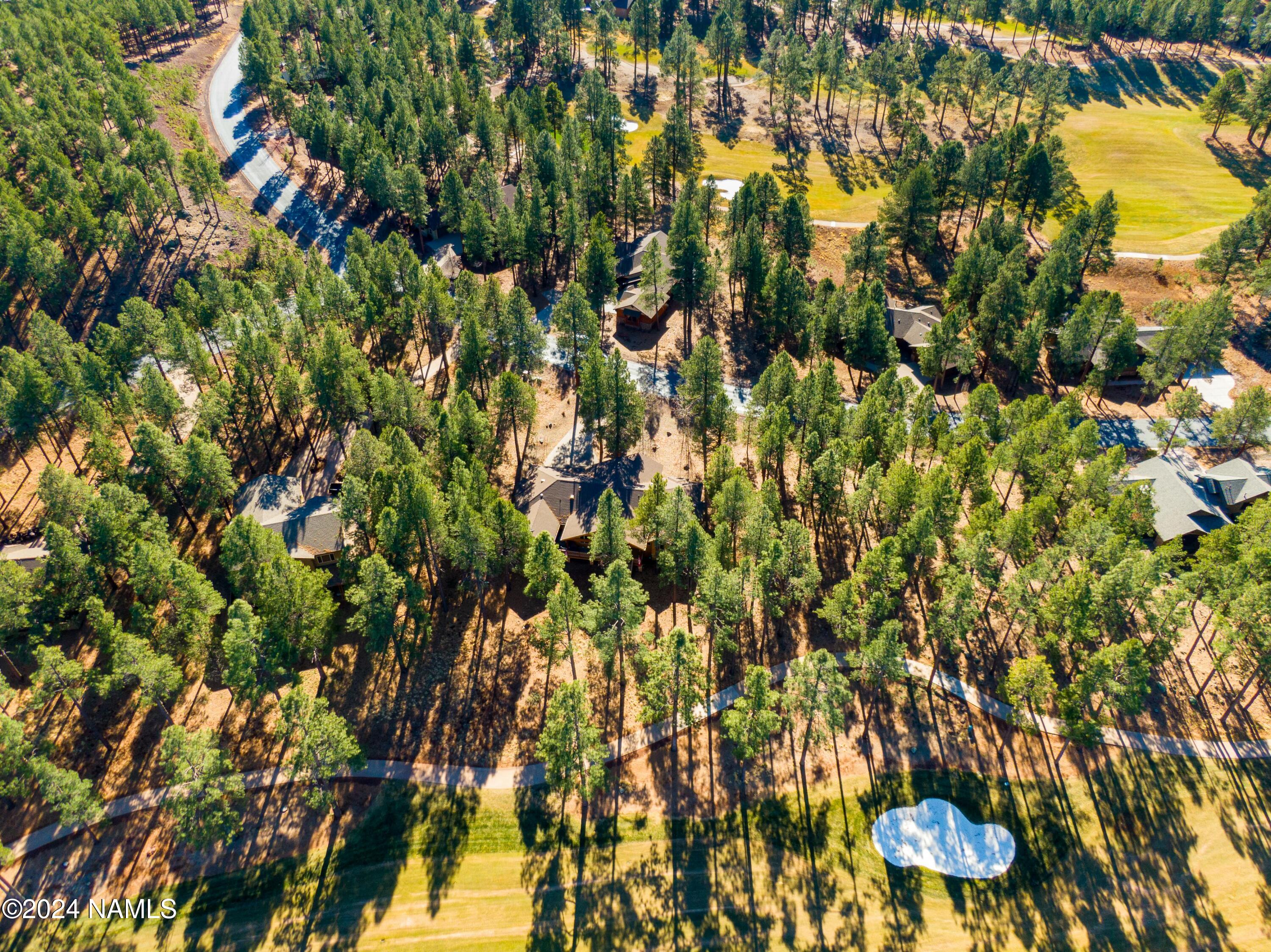 3580 Lariat Loop Flagstaff, AZ 86005 - Photo 56 of 57 tempImageofbKlA