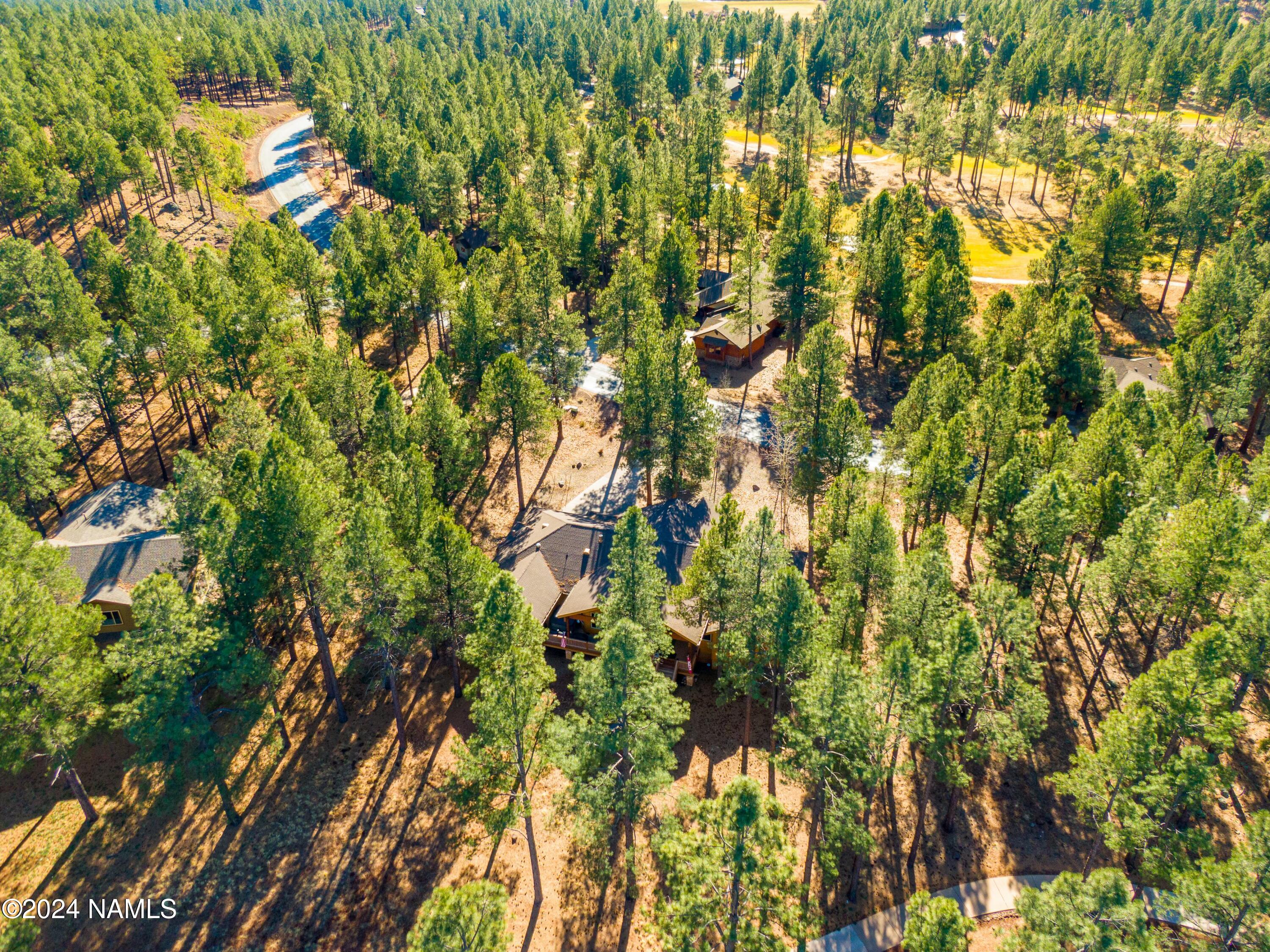 3580 Lariat Loop Flagstaff, AZ 86005 - Photo 57 of 57 tempImageLXLw2J