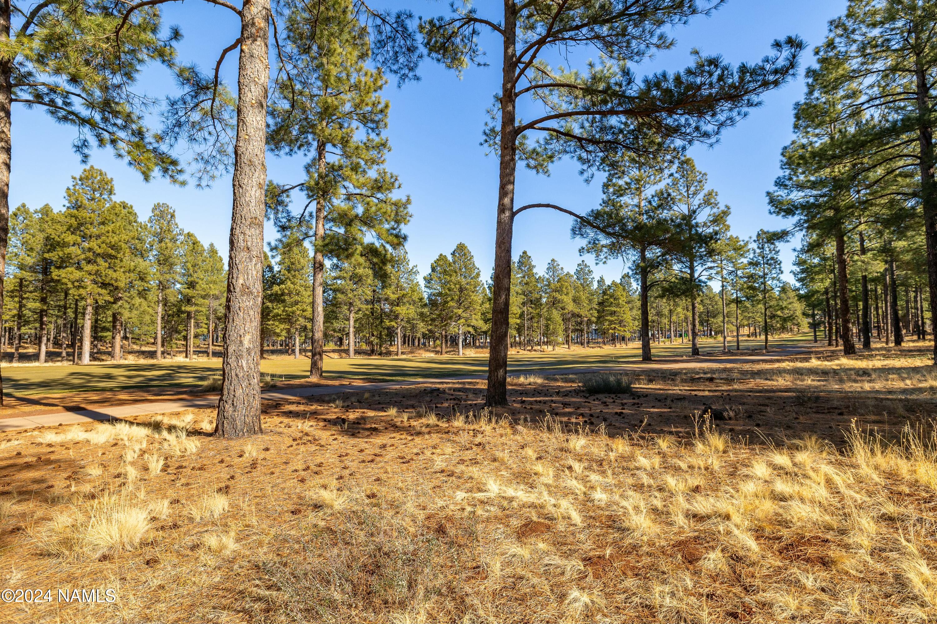 3580 Lariat Loop Flagstaff, AZ 86005 - Photo 10 of 57 tempImagewTC4cL