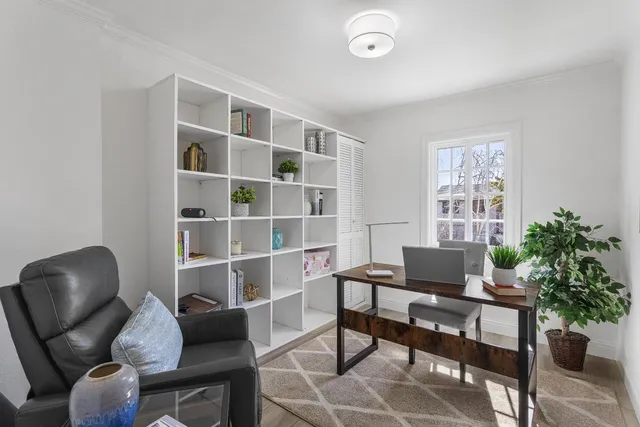 a living room with furniture and a potted plant