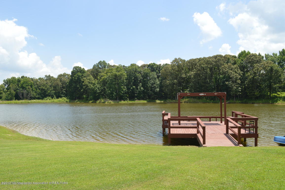 250 Salem Road Senatobia, MS 38668 - Photo 76 of 80 250sale