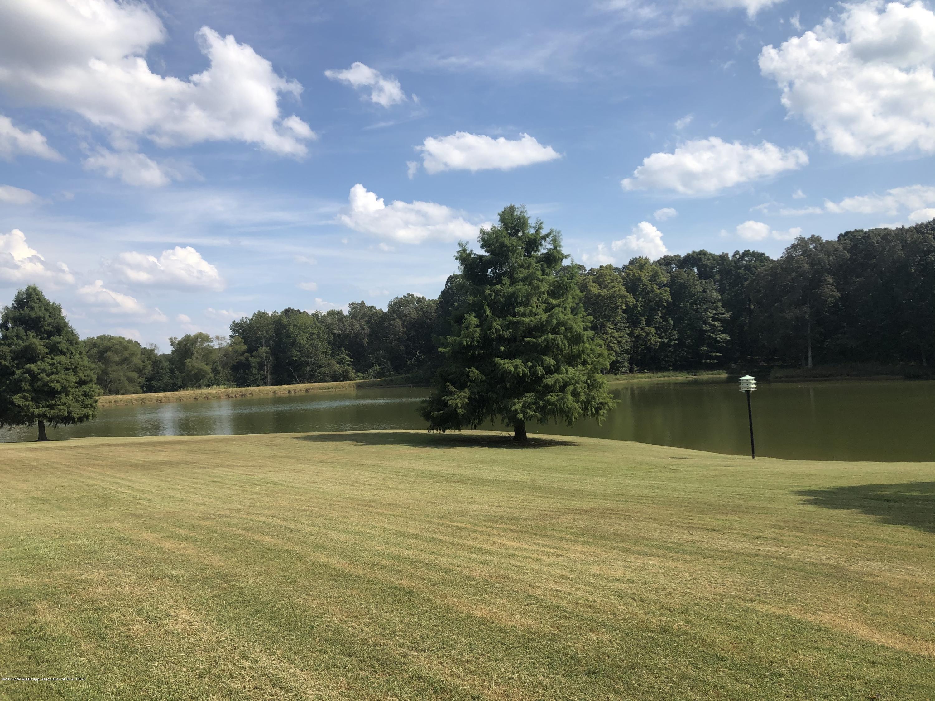 250 Salem Road Senatobia, MS 38668 - Photo 79 of 80 038F9BC2-CA92-4AA8-9F27-21AC221F8804