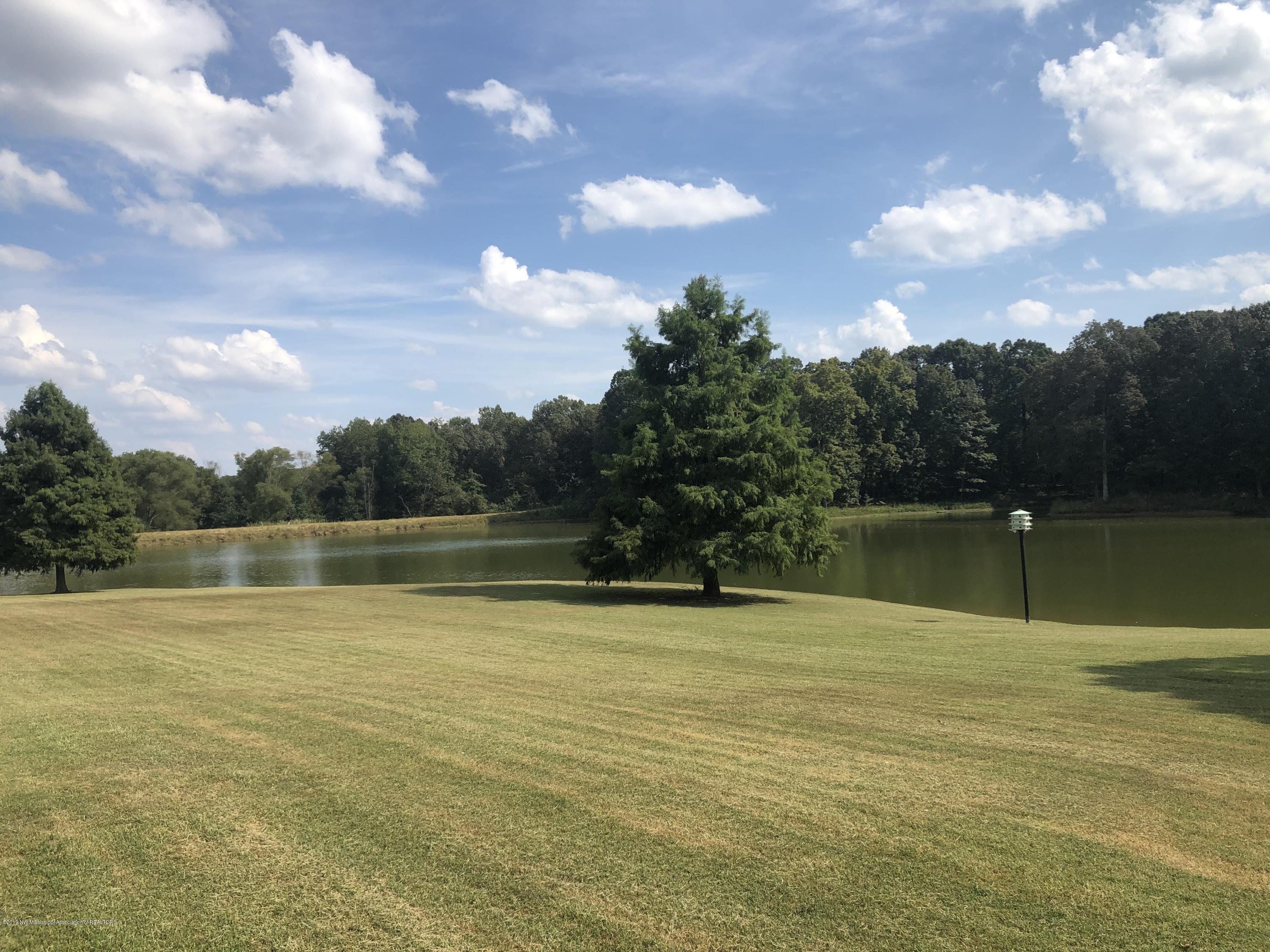 250 Salem Road Senatobia, MS 38668 - Photo 80 of 80 B5CDC293-CDBB-4E05-91E6-21B5672F907B