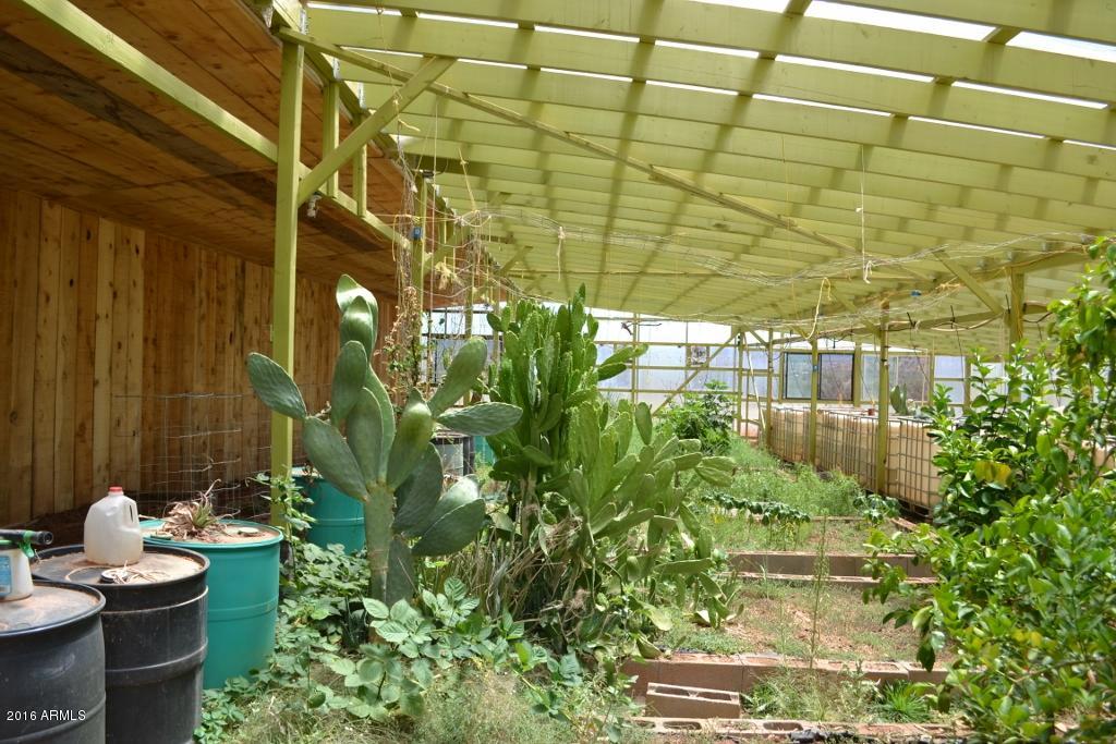 3868 Concho Ocho Road Snowflake, AZ 85937 - Photo 36 of 74 Green House (3)