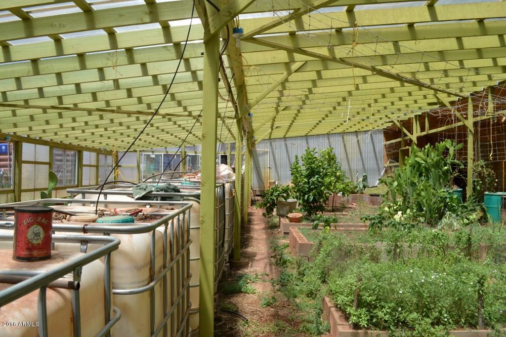 3868 Concho Ocho Road Snowflake, AZ 85937 - Photo 38 of 74 Green House (6)