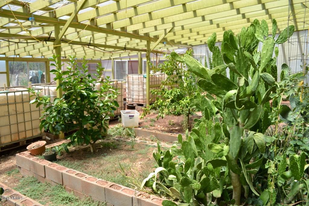 3868 Concho Ocho Road Snowflake, AZ 85937 - Photo 40 of 74 Green House (8)