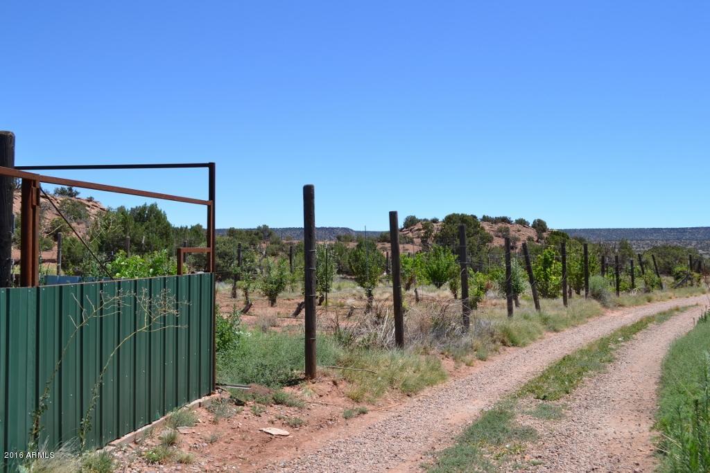 3868 Concho Ocho Road Snowflake, AZ 85937 - Photo 48 of 74 Garden and Fruit Trees