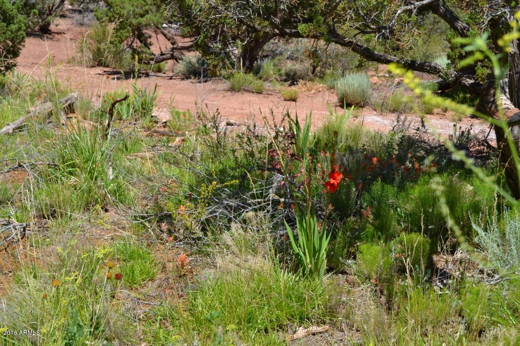 3868 Concho Ocho Road Snowflake, AZ 85937 - Photo 49 of 74 Grounds (2)
