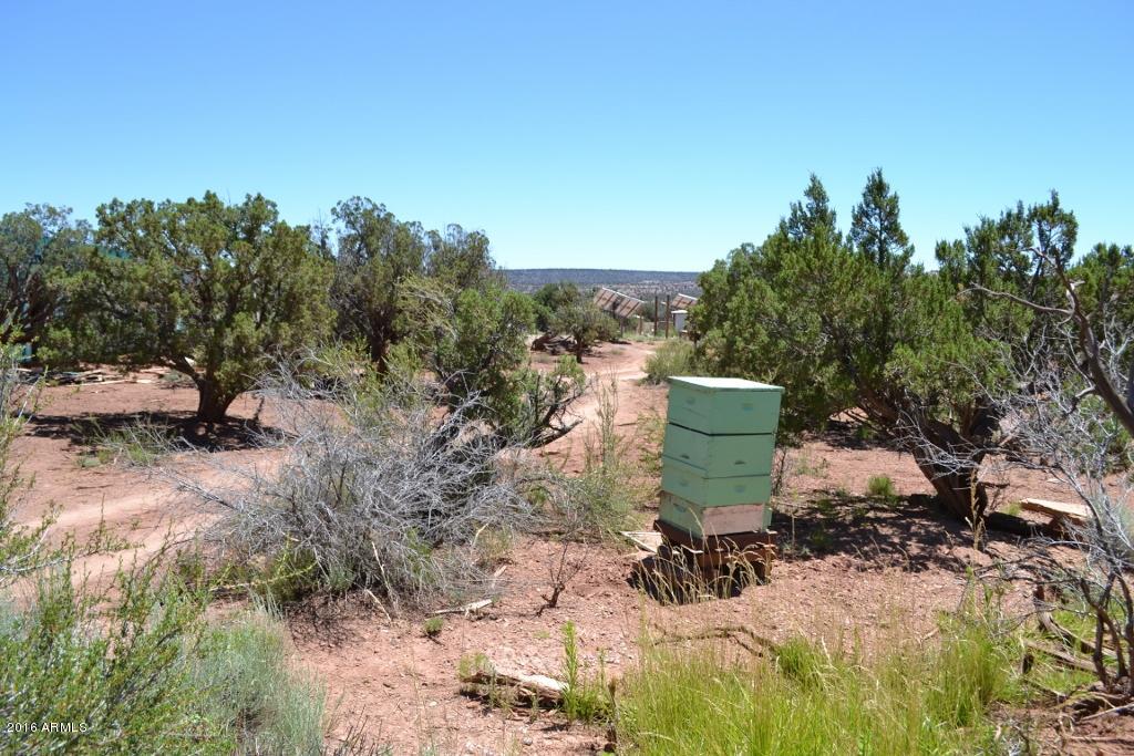 3868 Concho Ocho Road Snowflake, AZ 85937 - Photo 52 of 74 Grounds