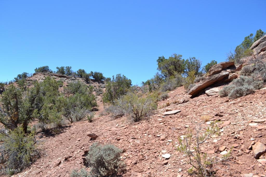3868 Concho Ocho Road Snowflake, AZ 85937 - Photo 56 of 74 Hillside (4)