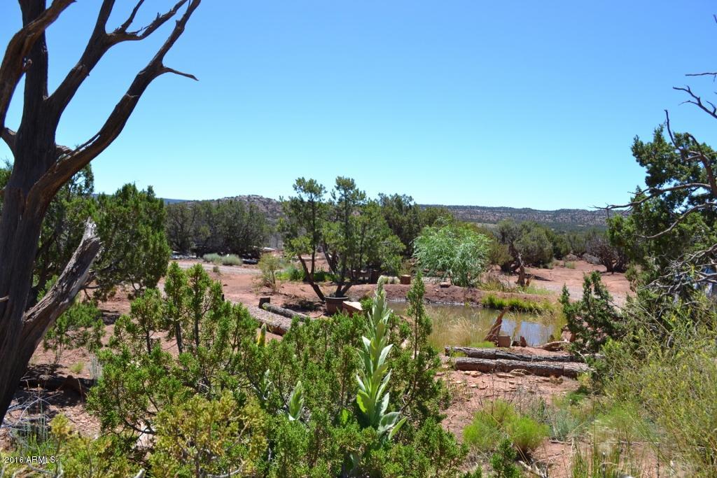 3868 Concho Ocho Road Snowflake, AZ 85937 - Photo 64 of 74 Pond