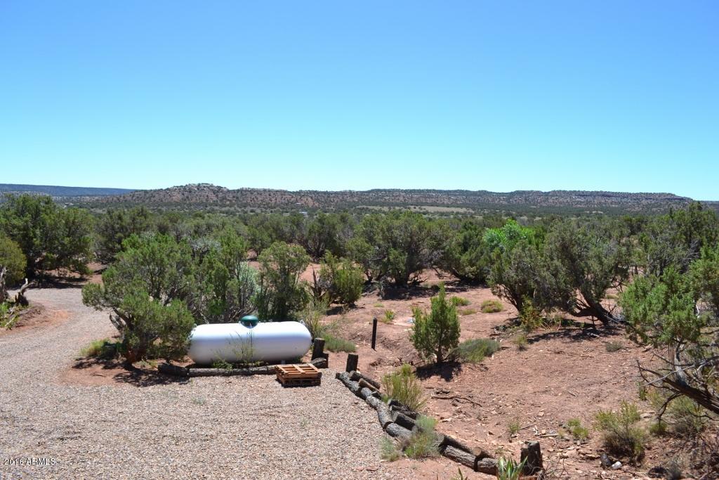 3868 Concho Ocho Road Snowflake, AZ 85937 - Photo 65 of 74 Propane Tank for Main House