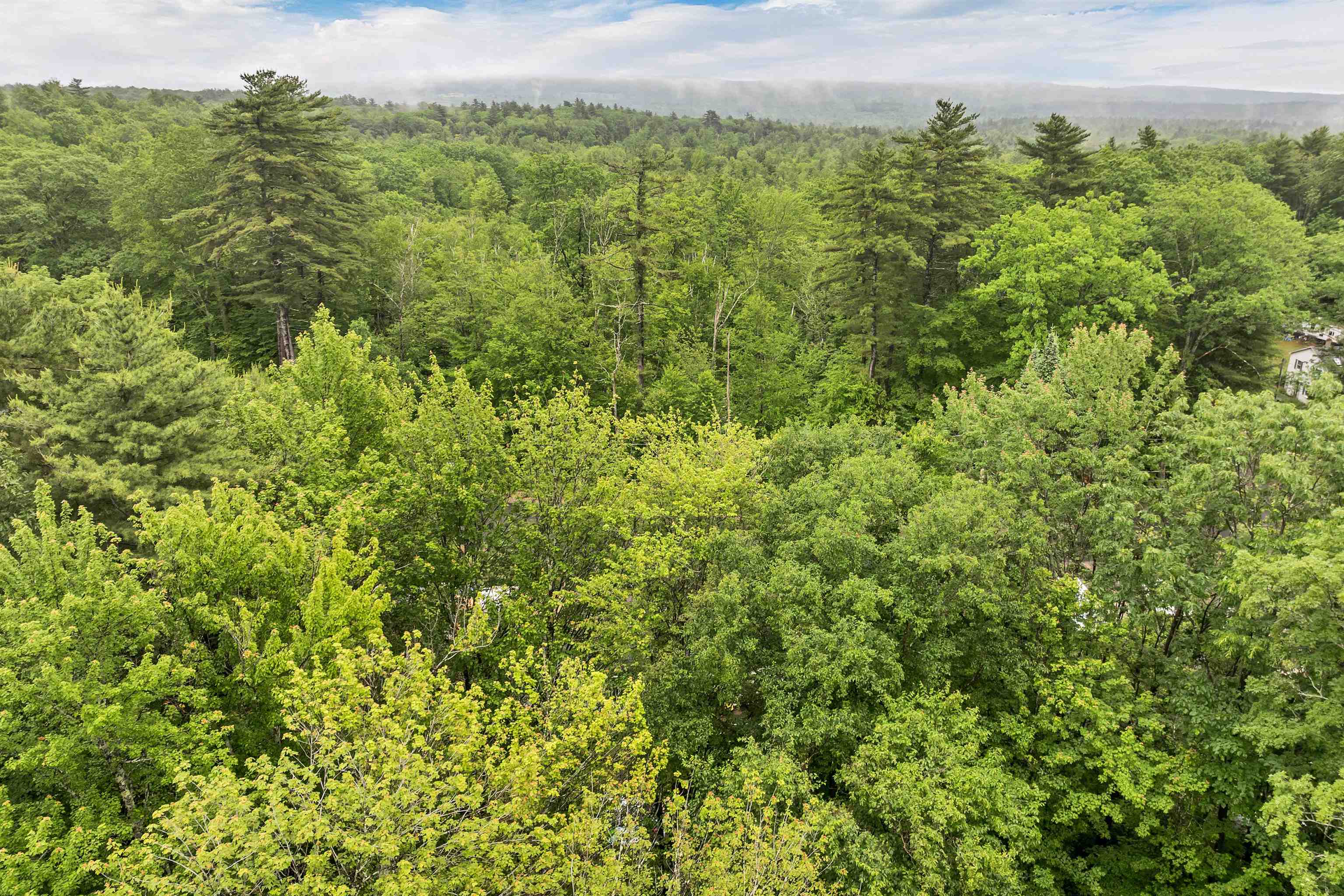 49 Leavitt Road Belmont, NH 03220 - Photo 46 of 52