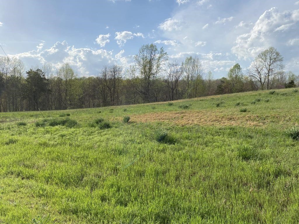 0 Carthage Road Pleasant Shade, TN 37145 - Photo 1 of 10