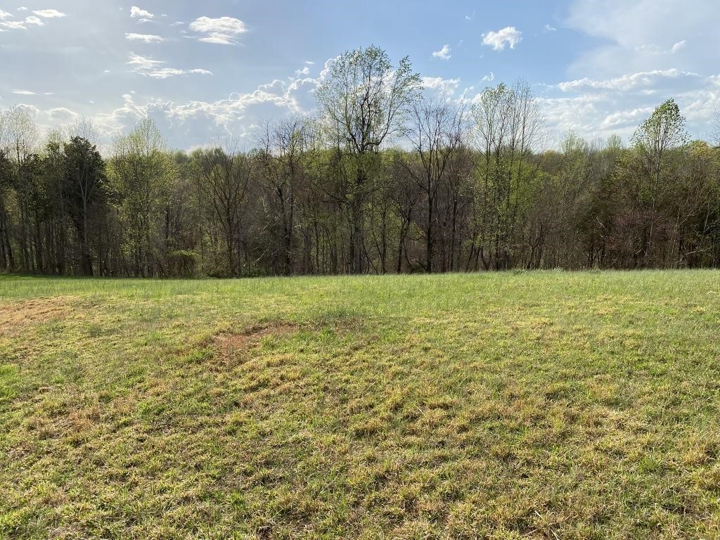 0 Carthage Road Pleasant Shade, TN 37145 - Photo 4 of 10