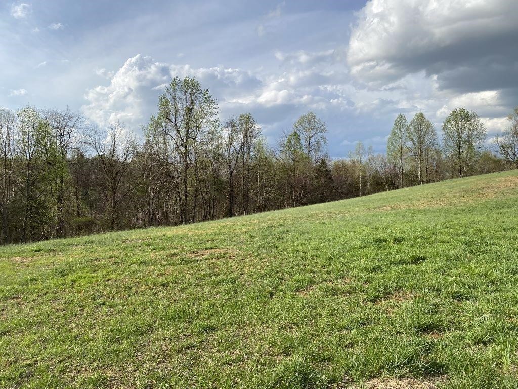 0 Carthage Road Pleasant Shade, TN 37145 - Photo 5 of 10