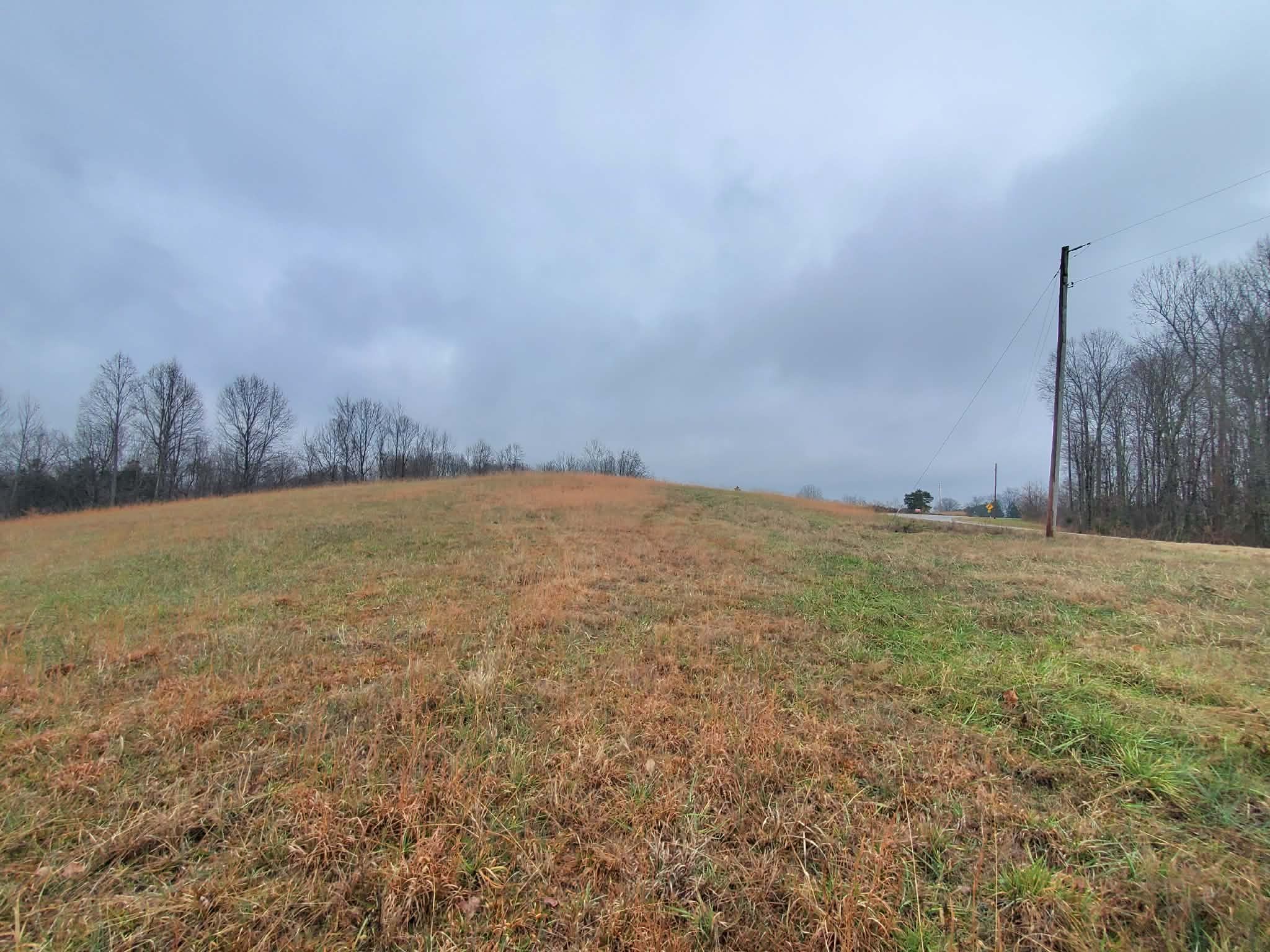 0 Carthage Road Pleasant Shade, TN 37145 - Photo 8 of 10