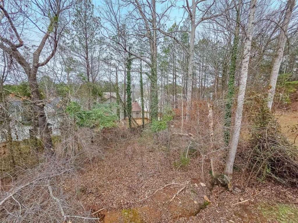 2276 Ramblewood Circle Decatur, GA 30035 - Photo 34 of 34 a view of a forest with trees