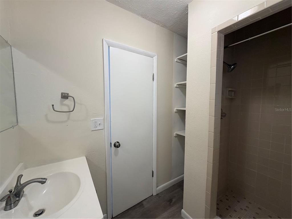 1740 West Walnut Street Tampa, FL 33607 - Photo 18 of 28 a bathroom with a sink and shower