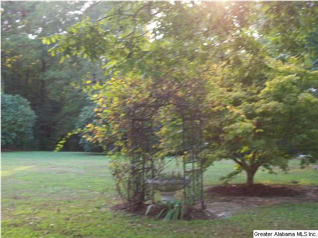 902 County Road 91 Jemison, AL 35085 - Photo 10 of 32