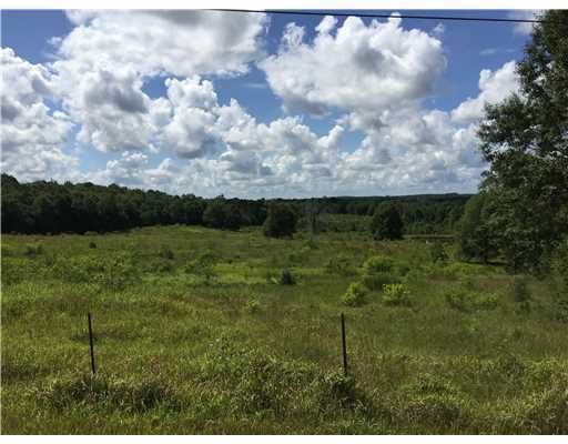 Hopper Rd Hopper Road Lucedale, MS 39452 - Photo 3 of 3 Additional Photo