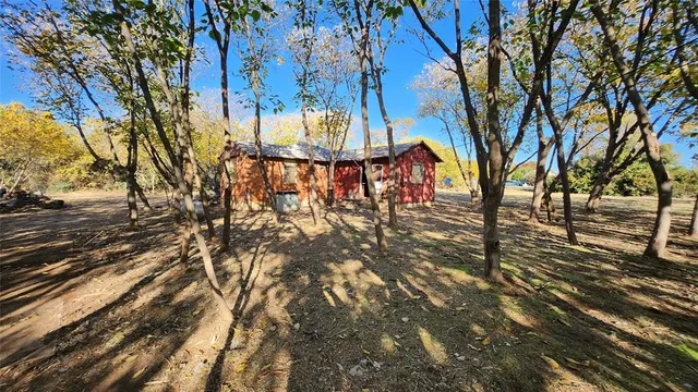 a view of plants and trees