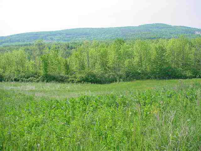 406 Argusville Road Sharon, NY 13459 - Photo 7 of 12 Photo 7