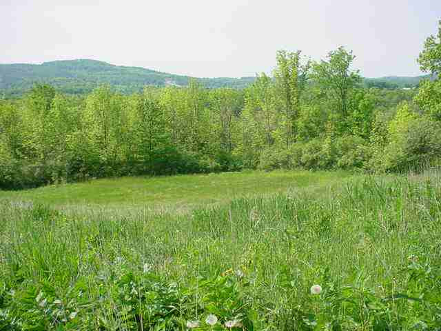 406 Argusville Road Sharon, NY 13459 - Photo 8 of 12 Photo 8