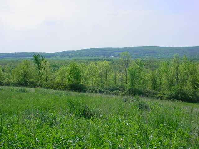 406 Argusville Road Sharon, NY 13459 - Photo 9 of 12 Photo 9