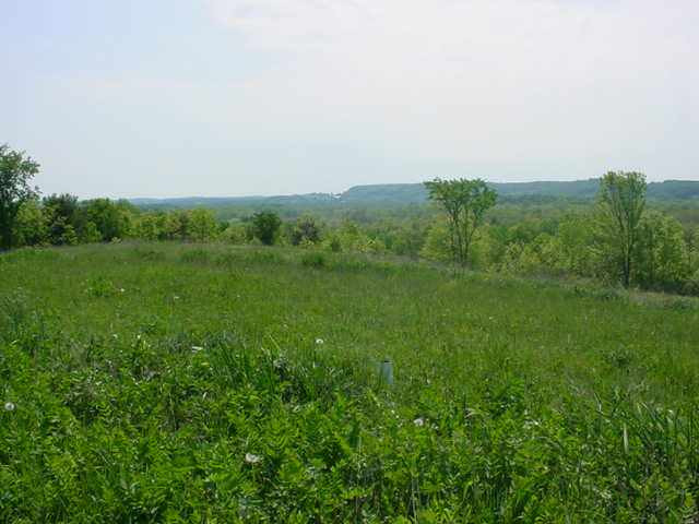 406 Argusville Road Sharon, NY 13459 - Photo 10 of 12 Photo 10