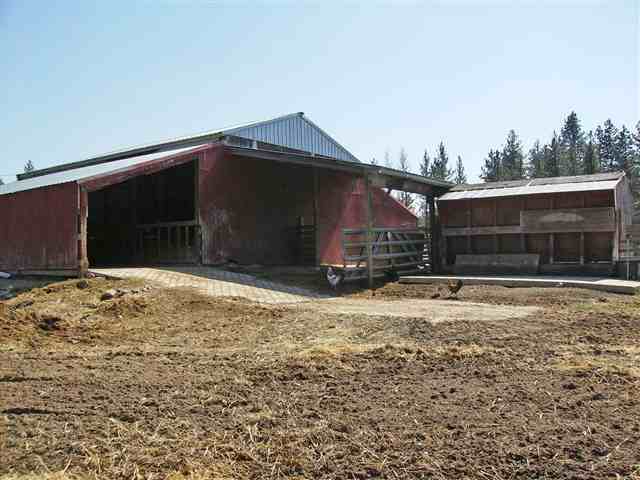 3327 East Woolard Road Colbert, WA 99005 - Photo 4 of 9
