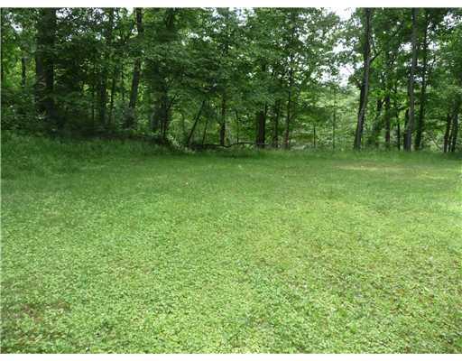 160 McFann Road Valencia, PA 16059 - Photo 17 of 18 Land/Lot. Flat cleared area for possible building lot.