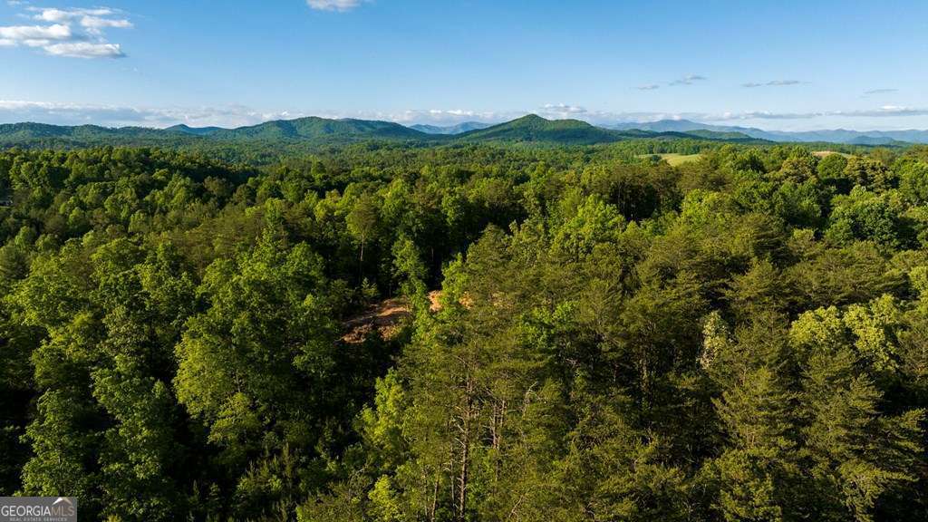 1 West Gum Log Road Warne, NC 28909 - Photo 13 of 26