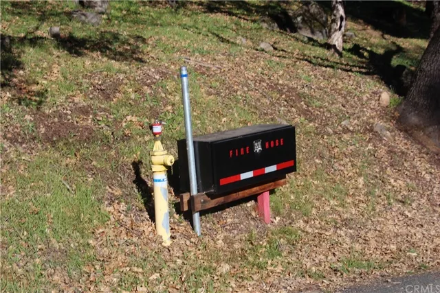 a bench sitting in the middle of a forest