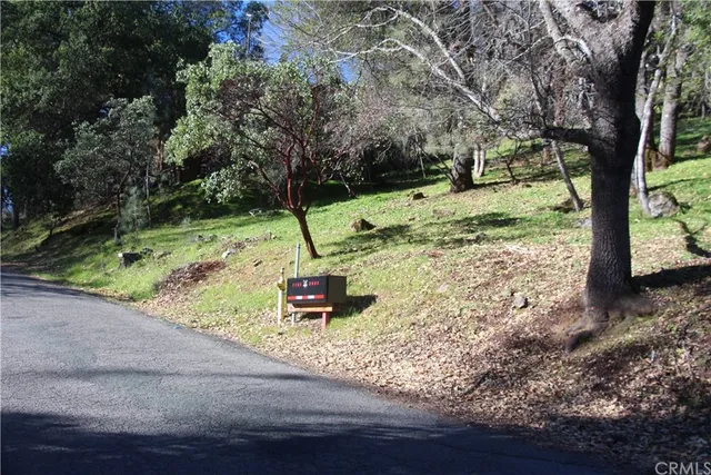 a view of a tree in a yard