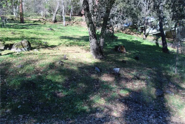 a view of outdoor space and yard