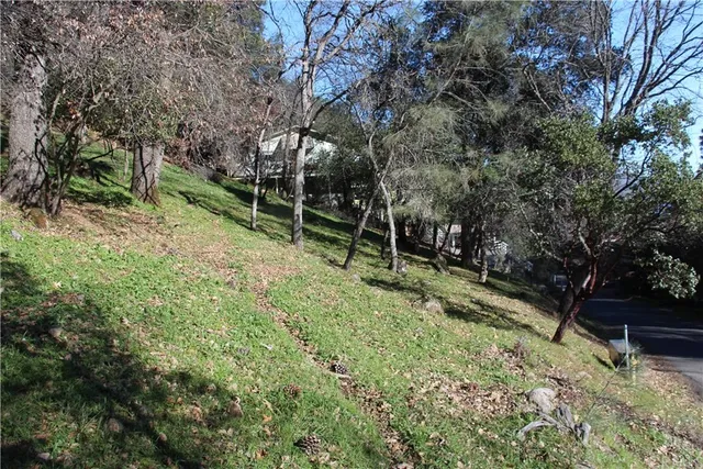 a view of outdoor space and yard