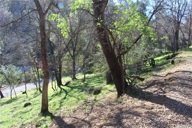a view of outdoor space and tree
