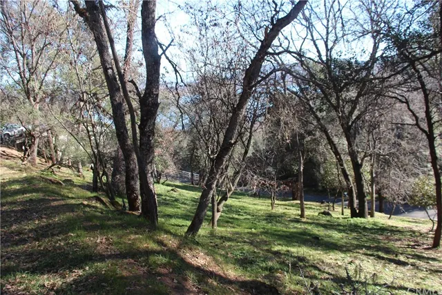 a big yard with lots of green space and trees