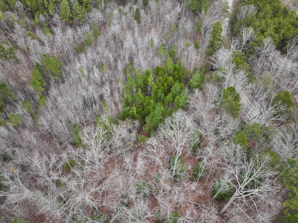 Crymes Road Keysville, VA 23947 - Photo 10 of 10 Gallery Image 10