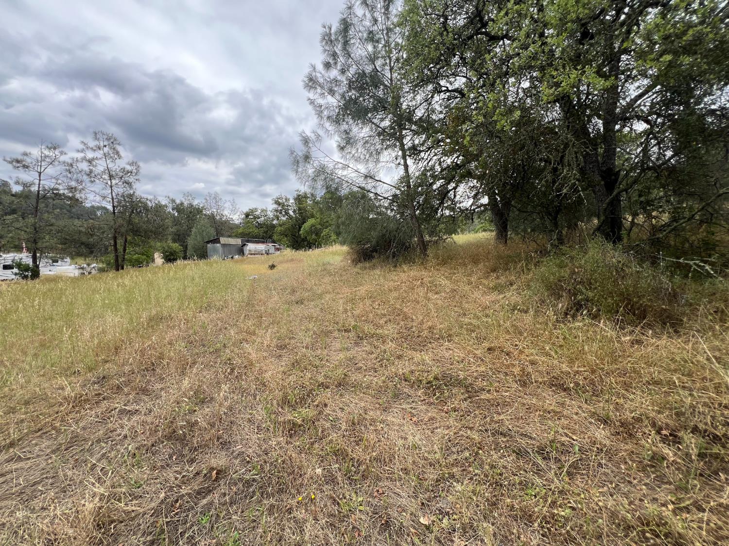 10840 Pool Station Road Angels Camp, CA 95222 - Photo 9 of 10 a view of a yard with a tree