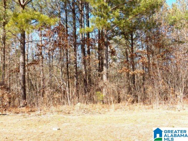 245 Covington Rdg Drive, Unit 34 Jacksonville, AL 36265 - Photo 10 of 11