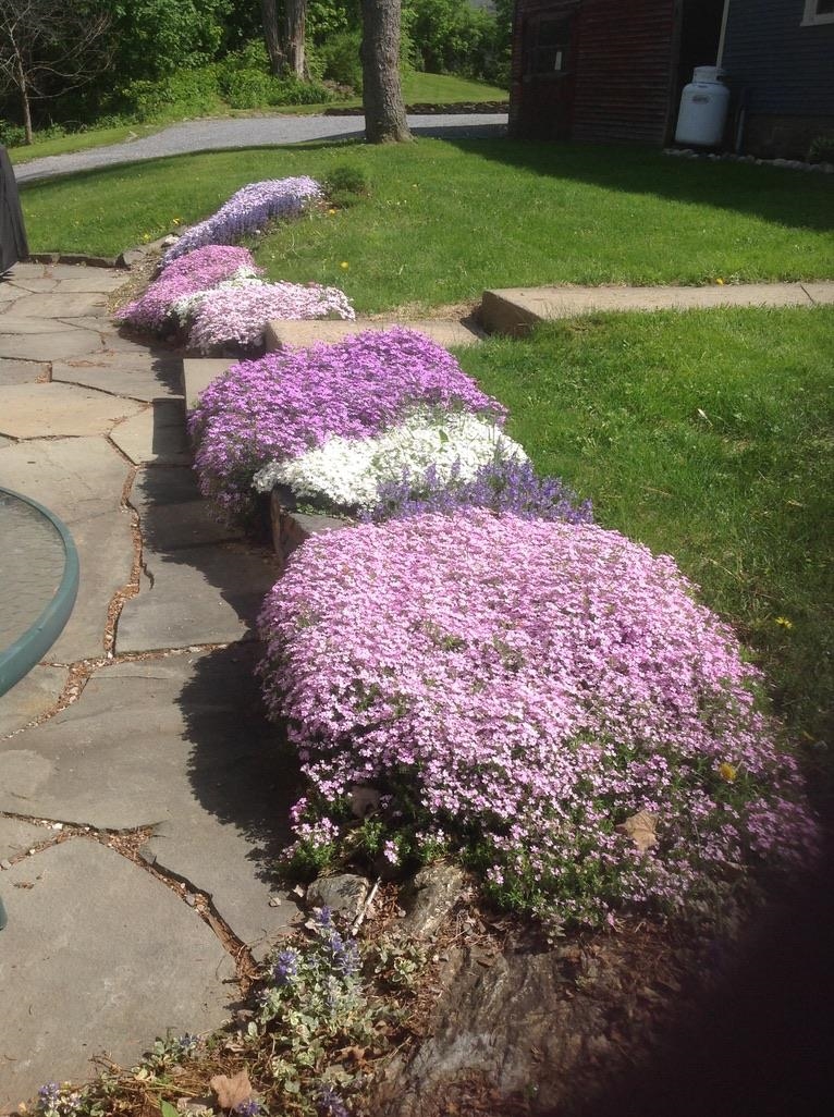 371 Weybridge Street Middlebury, VT 05753 - Photo 9 of 43