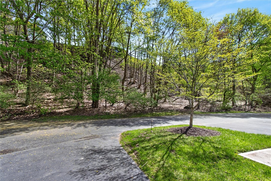 237 Highland Parkway Rochester, NY 14620 - Photo 6 of 41