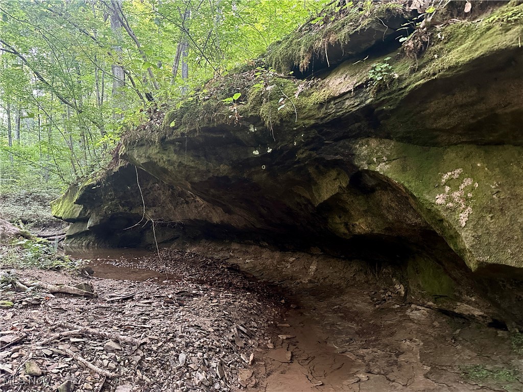 200 Frakes Road Lower Salem, OH 45745 - Photo 29 of 50 View of local wilderness