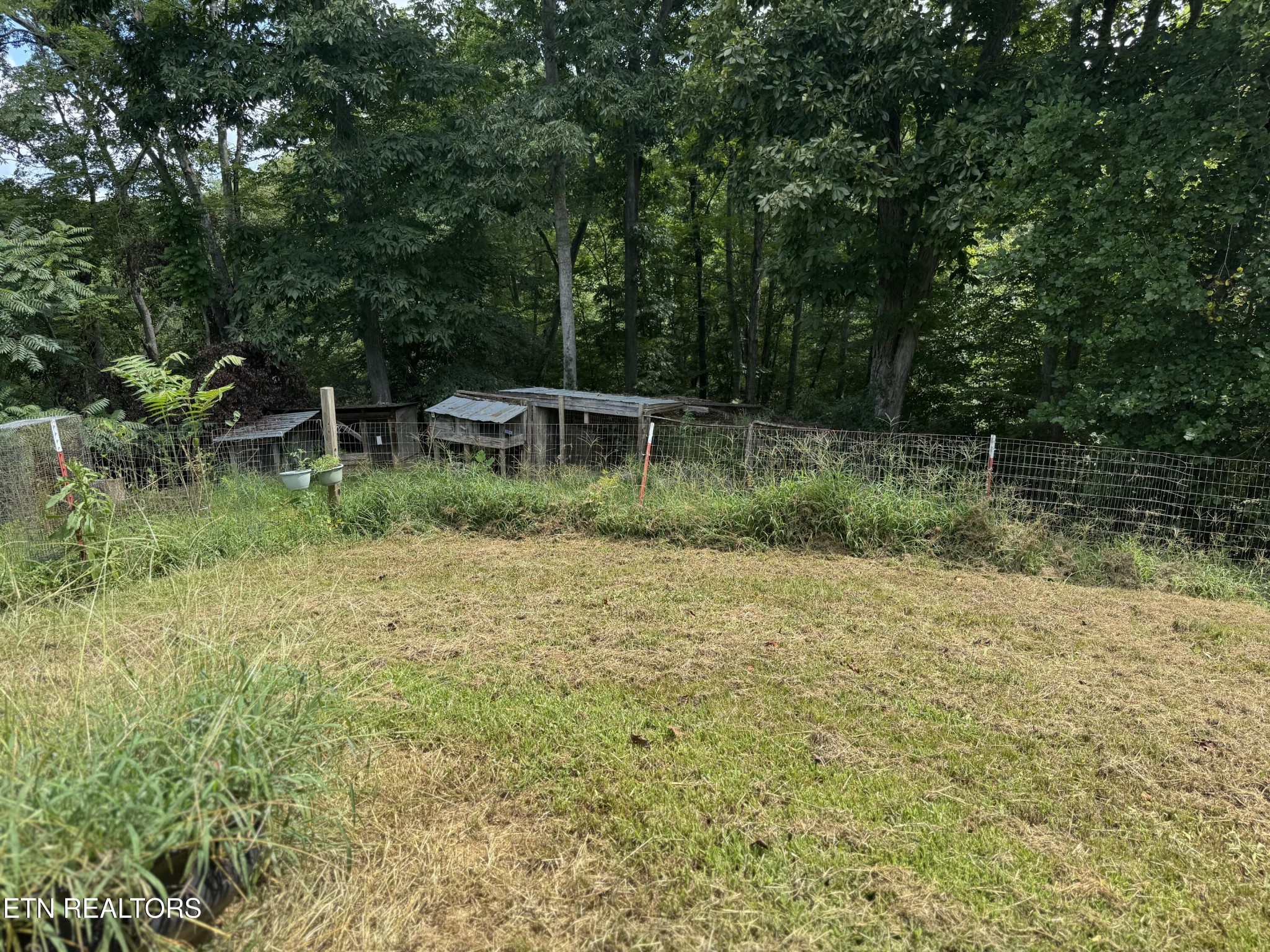 301 Holloway Road Newport, TN 37821 - Photo 29 of 51 Gallery Image 29