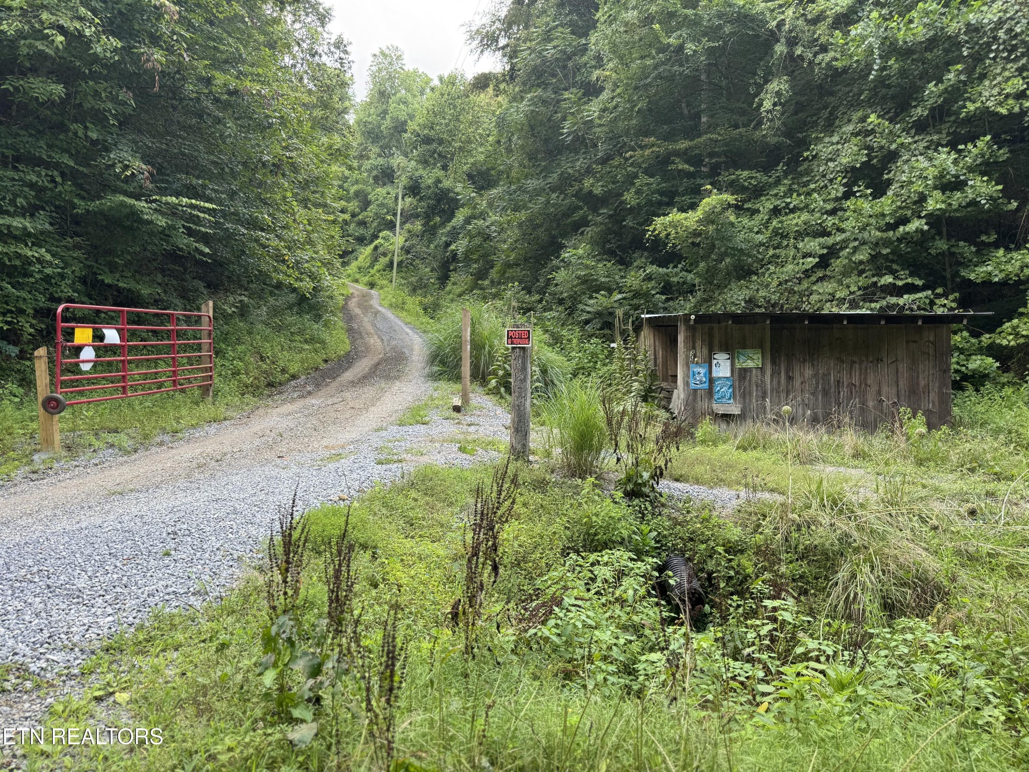 301 Holloway Road Newport, TN 37821 - Photo 3 of 51 Gallery Image 3