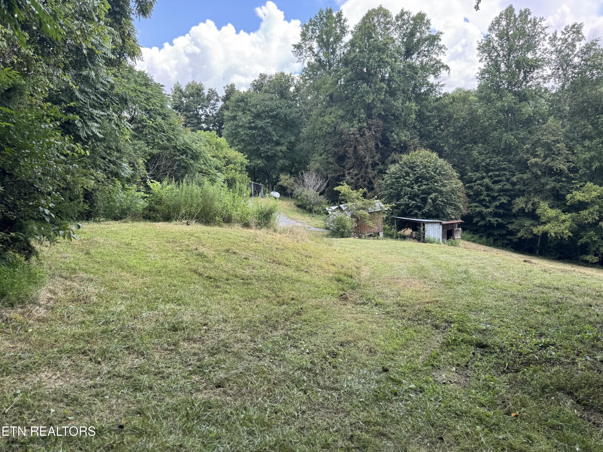 301 Holloway Road Newport, TN 37821 - Photo 36 of 51 Gallery Image 36