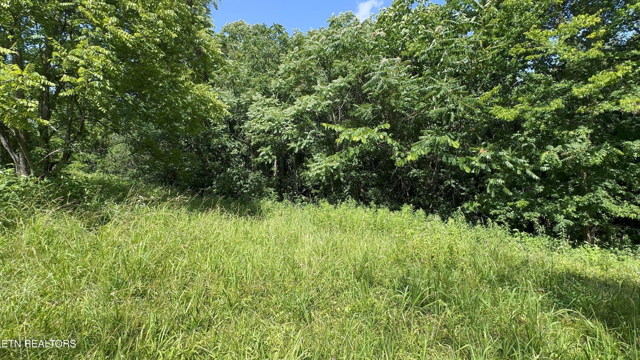 301 Holloway Road Newport, TN 37821 - Photo 38 of 51 Gallery Image 38