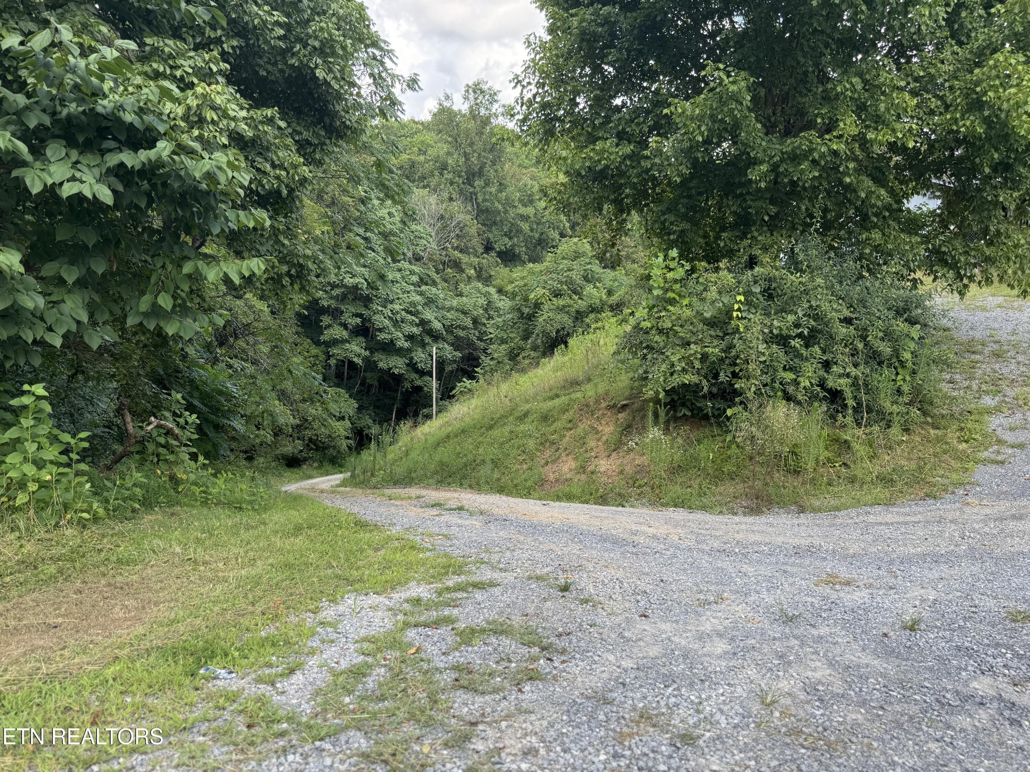 301 Holloway Road Newport, TN 37821 - Photo 4 of 51 Gallery Image 4